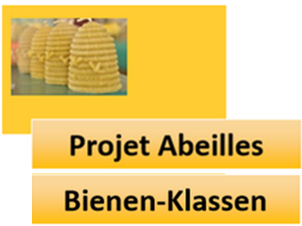 thumbnail - Projet Abeilles/Bienen-Klassen - CRIE d'Eupen - Naturzentrum Haus Ternell (Liège)